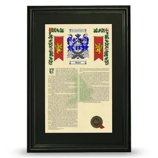 Blayze Deluxe Armorial Framed - Black