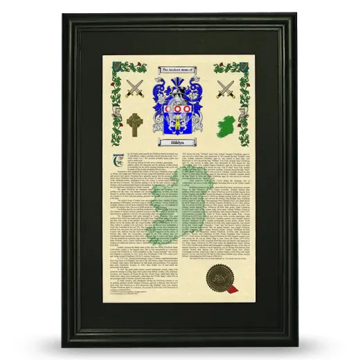 Hildyn Deluxe Armorial Framed - Black