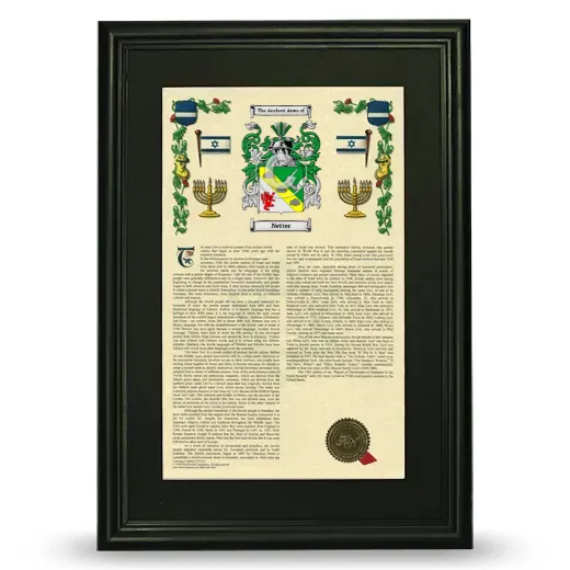 Netter Deluxe Armorial Framed - Black