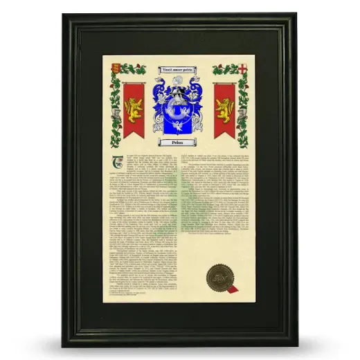 Pelon Deluxe Armorial Framed - Black