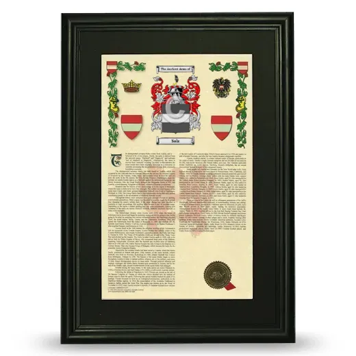 Salz Deluxe Armorial Framed - Black