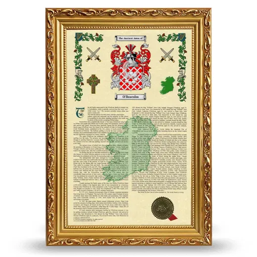 O'Bracolm Armorial History Framed - Gold