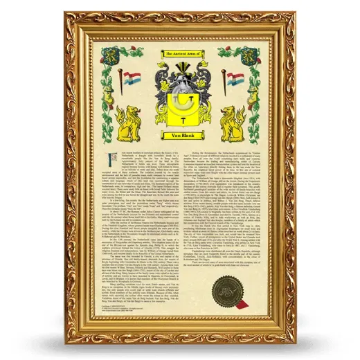 Van Blank Armorial History Framed - Gold