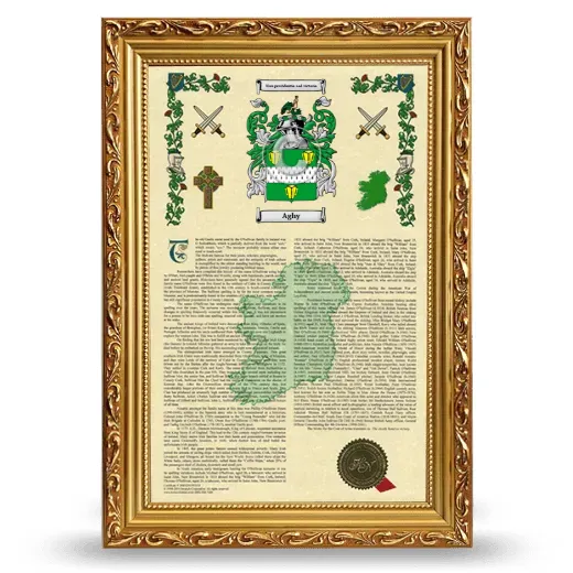 Aghy Armorial History Framed - Gold