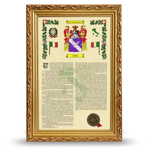 Andes Armorial History Framed - Gold
