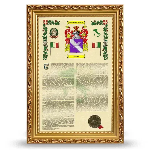 Andez Armorial History Framed - Gold