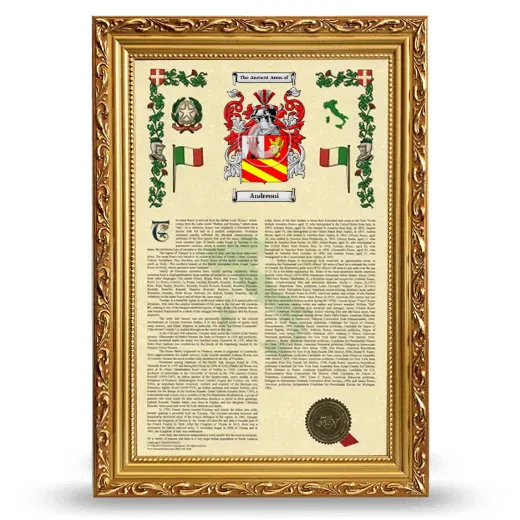 Andreoni Armorial History Framed - Gold