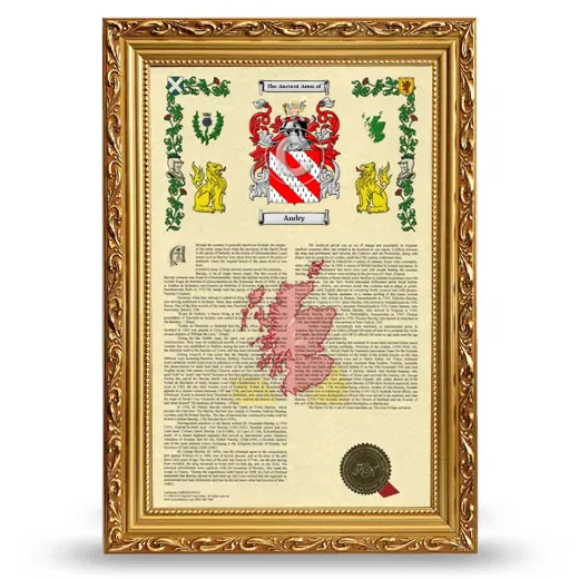 Andry Armorial History Framed - Gold