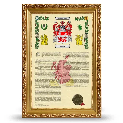 Anegos Armorial History Framed - Gold