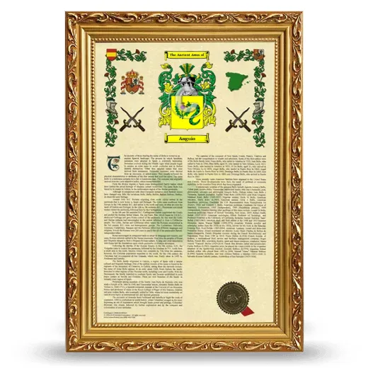 Anguio Armorial History Framed - Gold