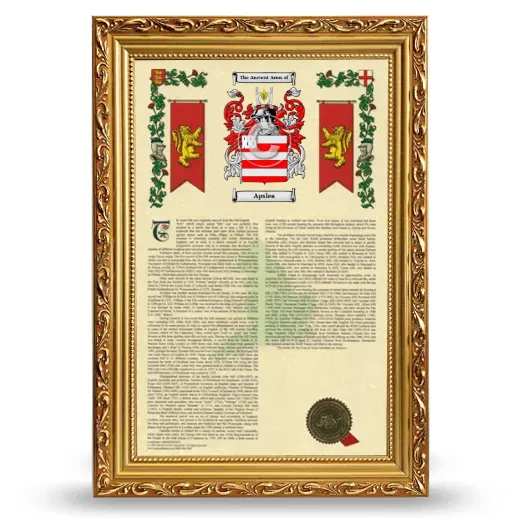 Apslea Armorial History Framed - Gold