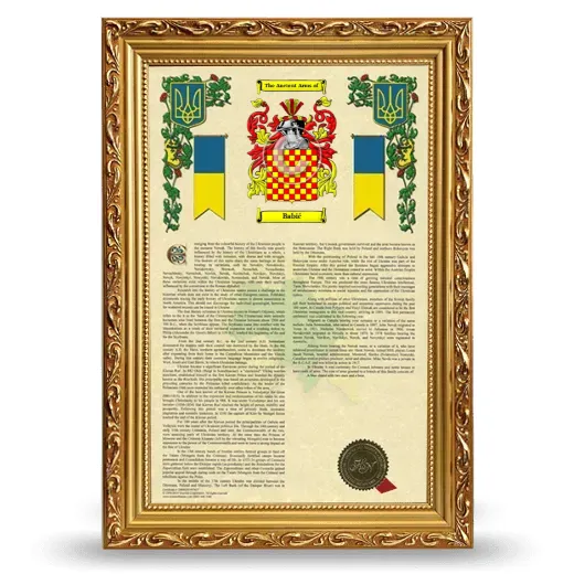 Babić Armorial History Framed - Gold