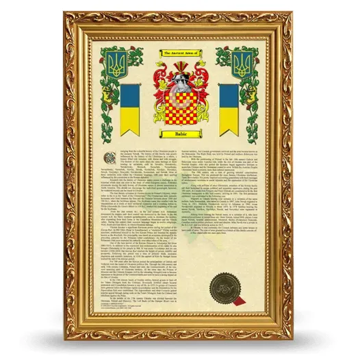 Babic Armorial History Framed - Gold