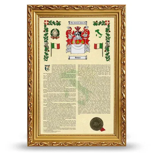 Benzo Armorial History Framed - Gold