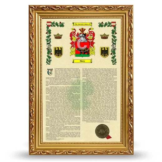 Biery Armorial History Framed - Gold