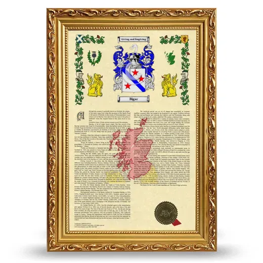 Bigar Armorial History Framed - Gold