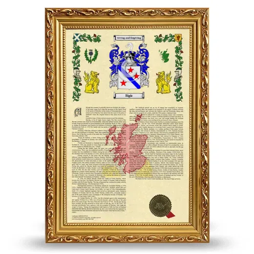 Bigir Armorial History Framed - Gold