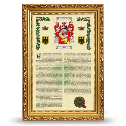 Bire Armorial History Framed - Gold