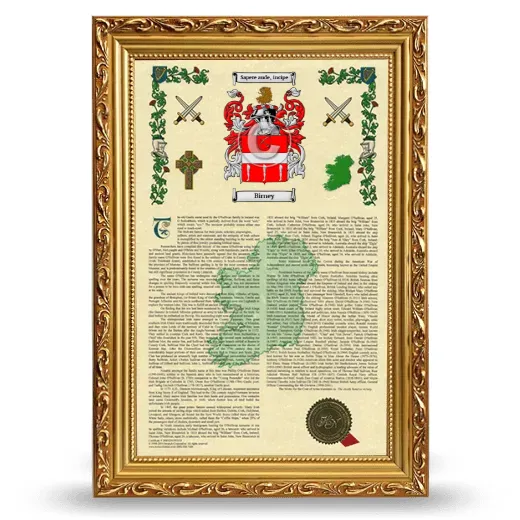 Birney Armorial History Framed - Gold
