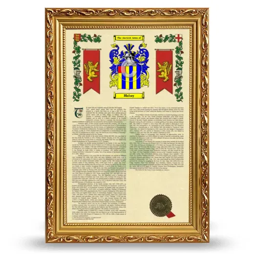 Blabay Armorial History Framed - Gold