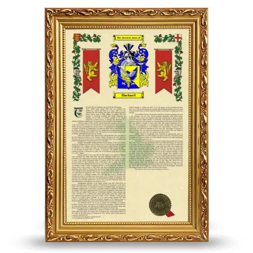 Blacknall Armorial History Framed - Gold