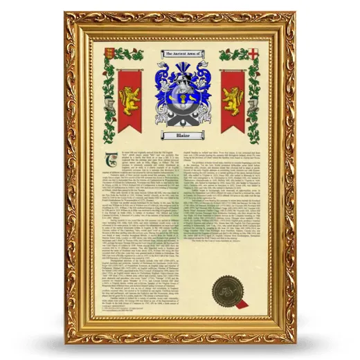 Blaize Armorial History Framed - Gold