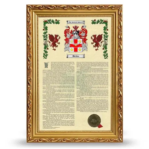 Blevins Armorial History Framed - Gold