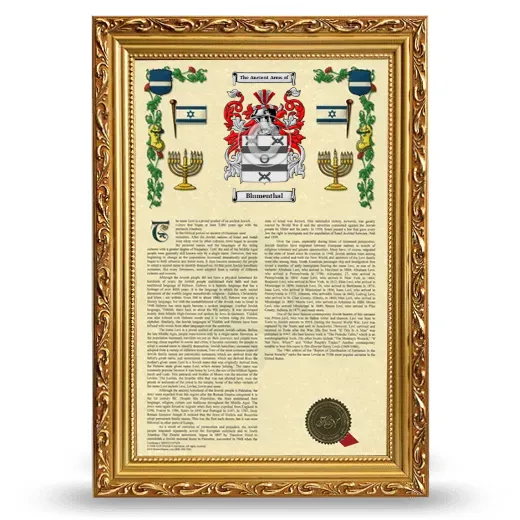 Blumenthal Armorial History Framed - Gold