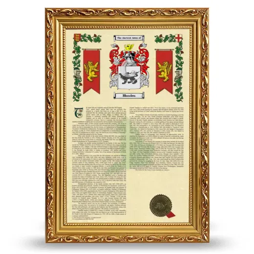 Blunden Armorial History Framed - Gold