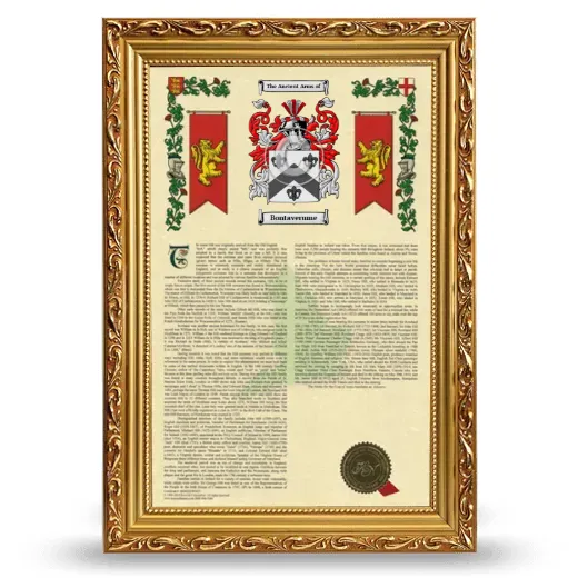 Bontaverume Armorial History Framed - Gold