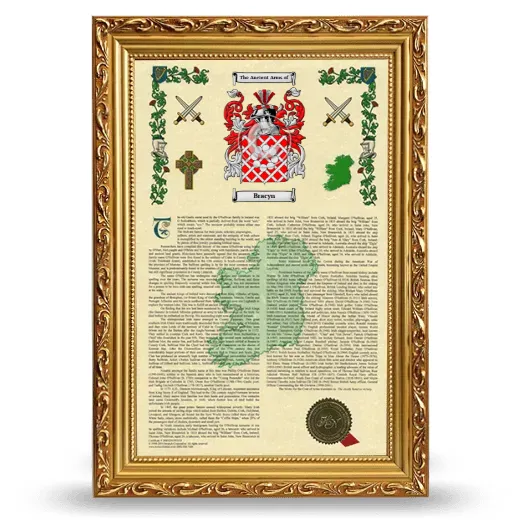 Bracyn Armorial History Framed - Gold