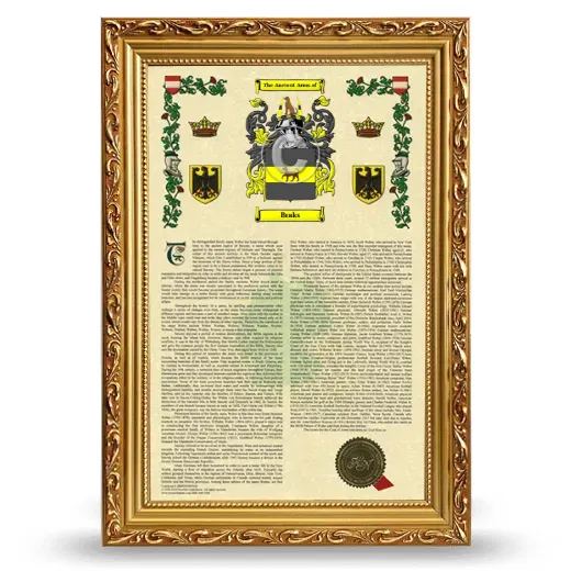 Braks Armorial History Framed - Gold