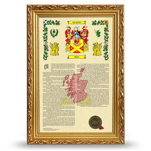 Brice Armorial History Framed - Gold