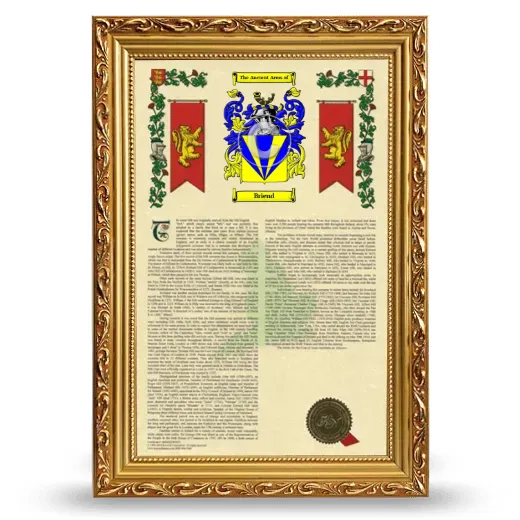 Briend Armorial History Framed - Gold