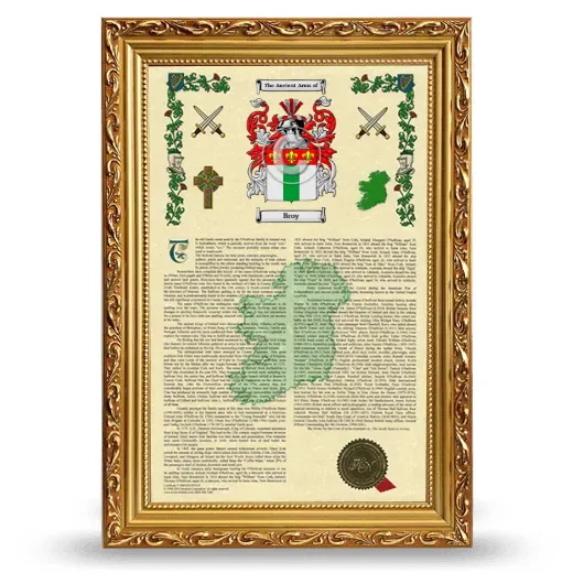 Broy Armorial History Framed - Gold