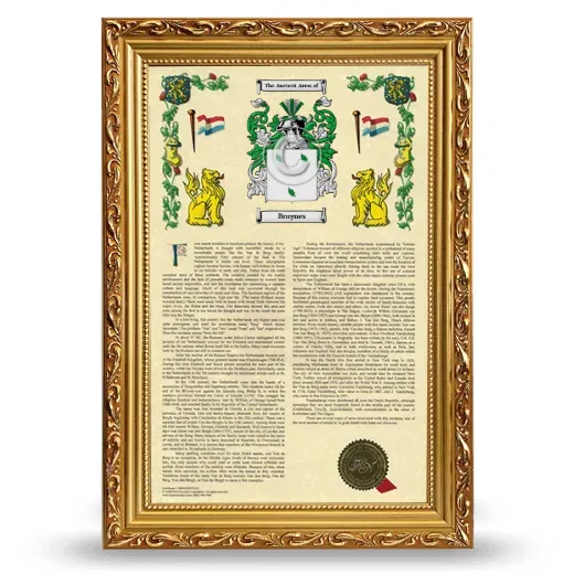 Bruynes Armorial History Framed - Gold