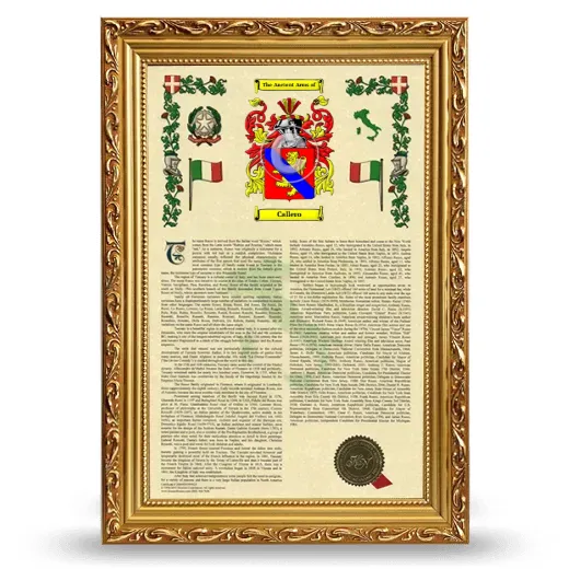 Callero Armorial History Framed - Gold