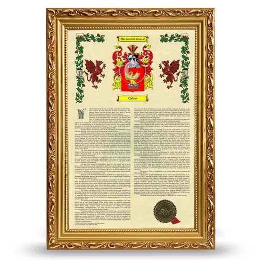 Calne Armorial History Framed - Gold