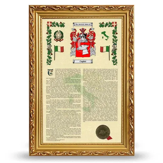 Capini Armorial History Framed - Gold