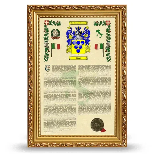 Cipri Armorial History Framed - Gold