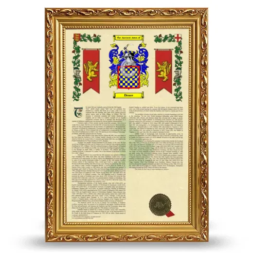 Druce Armorial History Framed - Gold