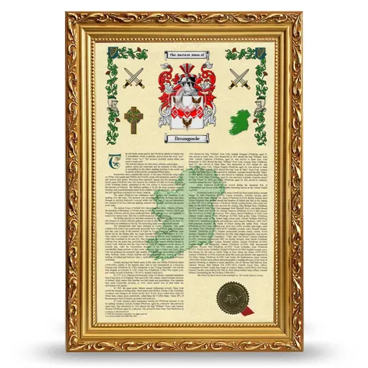 Drumgoole Armorial History Framed - Gold