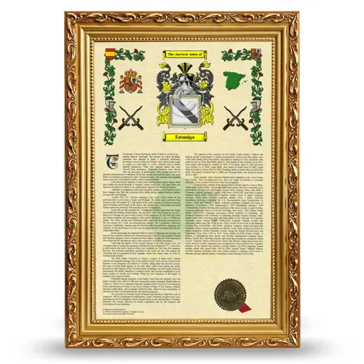Estuniga Armorial History Framed - Gold