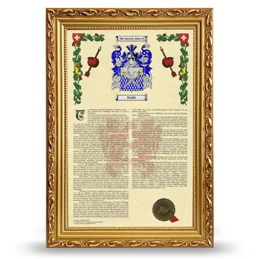 Fecht Armorial History Framed - Gold