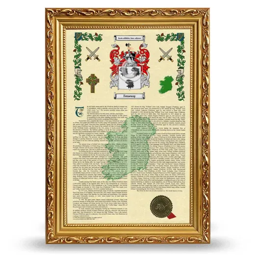Fenessy Armorial History Framed - Gold