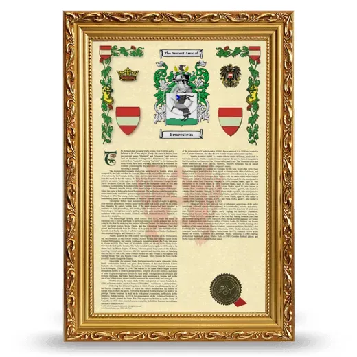 Feuerstein Armorial History Framed - Gold