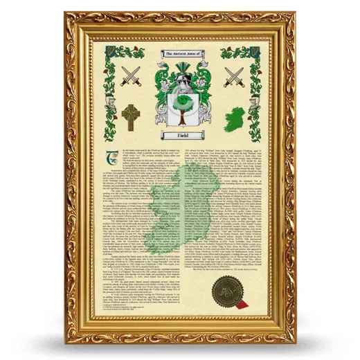 Field Armorial History Framed - Gold