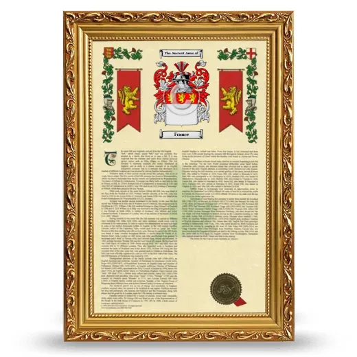 France Armorial History Framed - Gold