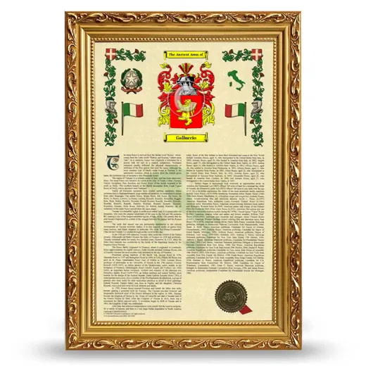 Galluccio Armorial History Framed - Gold