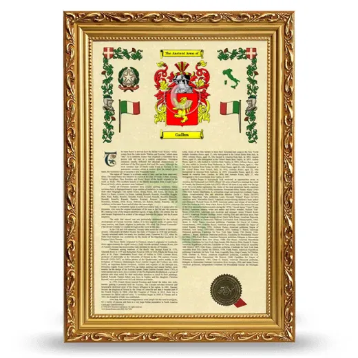 Gallus Armorial History Framed - Gold